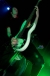 ConeMccaslin 2005 cone_sum41 (138).jpg